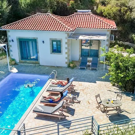 Villa Aloni Sea View *